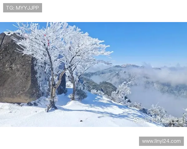 《冰峰》：当极致的悬疑与人性的温度在雪山之巅交织