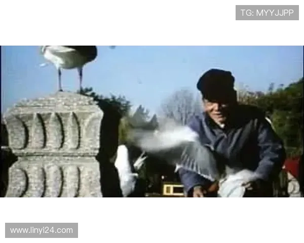 五月槐花香：一段跨越时空的温情叙事，一曲永不褪色的时代恋歌